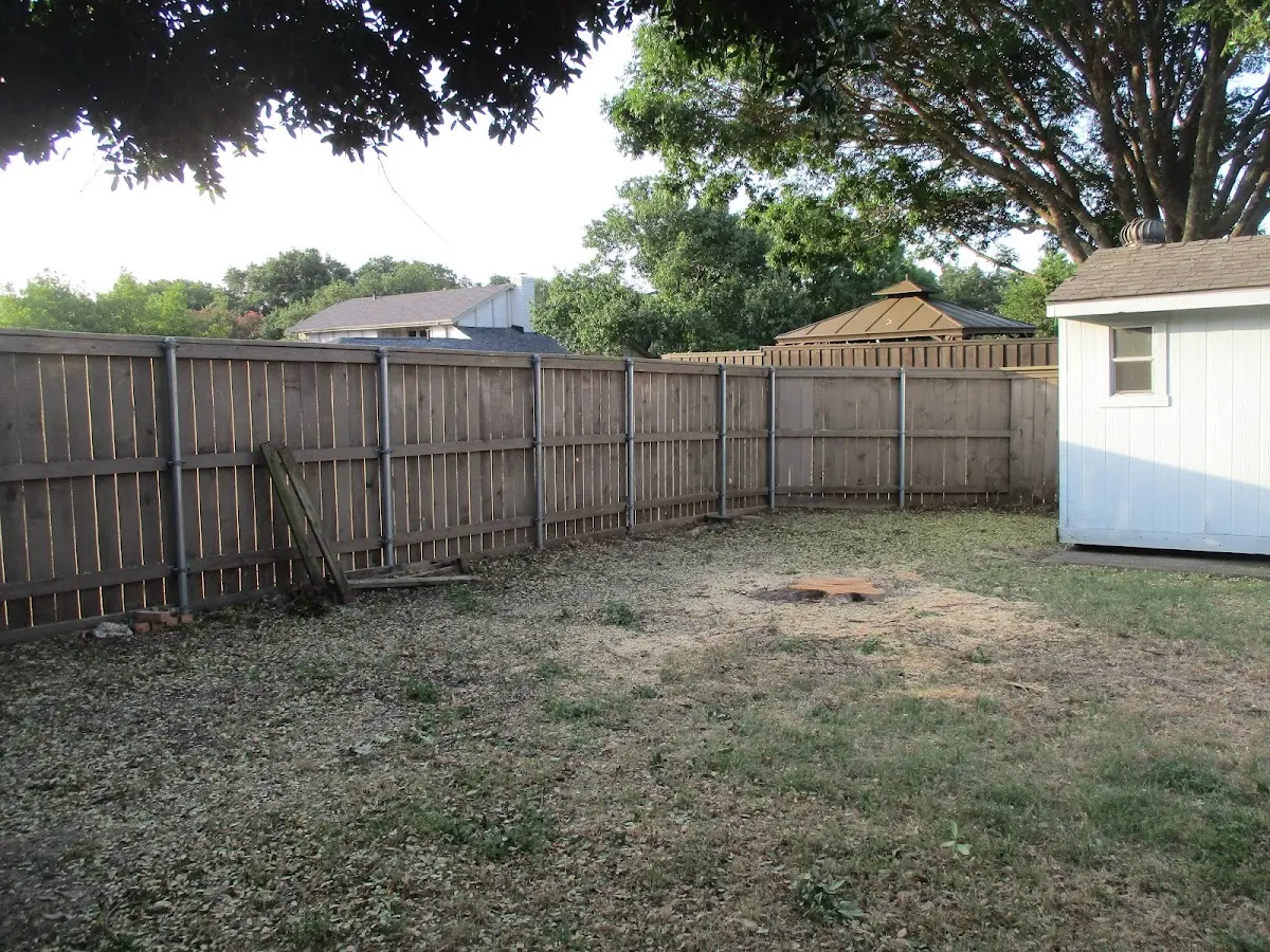 Cleared yard after professional tree removal in Saint Cloud